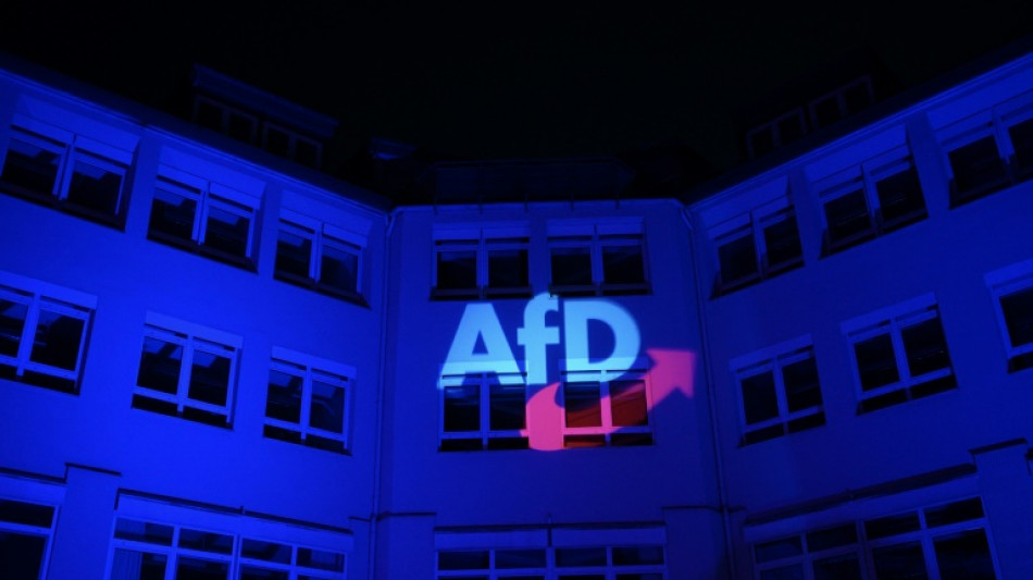 AfD Baden-Württemberg wählt Landeschef Frohnmaier zu Spitzenkandidat für Landtagswahl