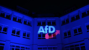 AfD Baden-Württemberg wählt Landeschef Frohnmaier zu Spitzenkandidat für Landtagswahl