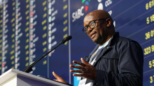 Afrique du Sud&nbsp;: vers un gouvernement de coalition autour de l'ANC