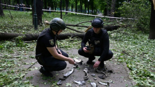 Soutien croissant mais conditionn&eacute; des pays de l'Otan aux frappes de Kiev en Russie