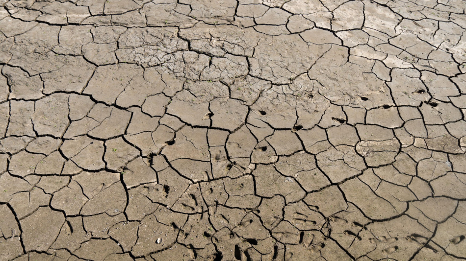 Guardian, 'almeno 35.000 morti in Europa per ondate calore di questa estate'
