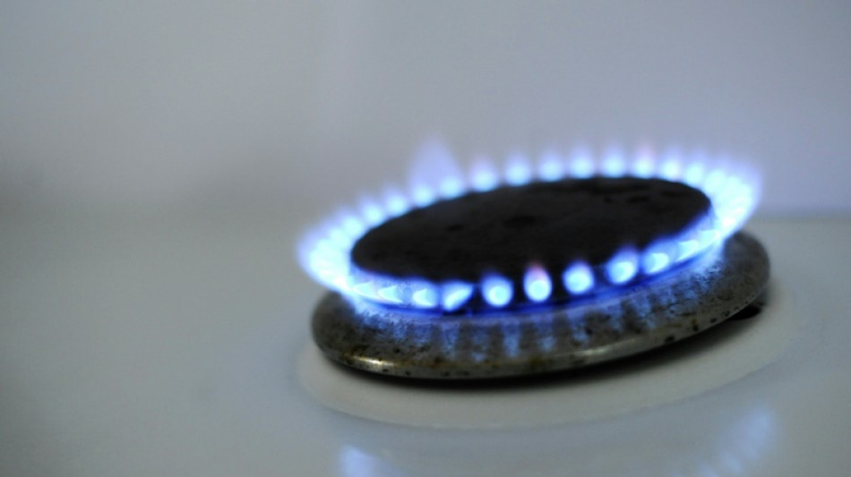 Approvisionnement en gaz: la France mieux arm&eacute;e pour l'hiver mais gare au froid tardif