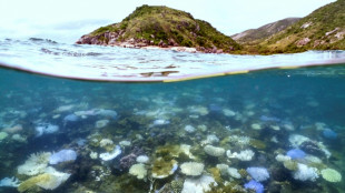Australien erlebt heißeste zwölf Monate seit Beginn der Aufzeichnungen