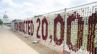 Exhiben en Washington peluches que simbolizan a ni&ntilde;os ucranianos cautivos