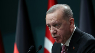 La Turquie suspend ses relations commerciales avec Isra&euml;l