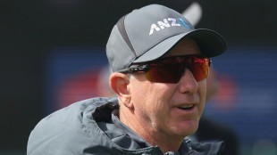 Stead quits as New Zealand white-ball cricket coach