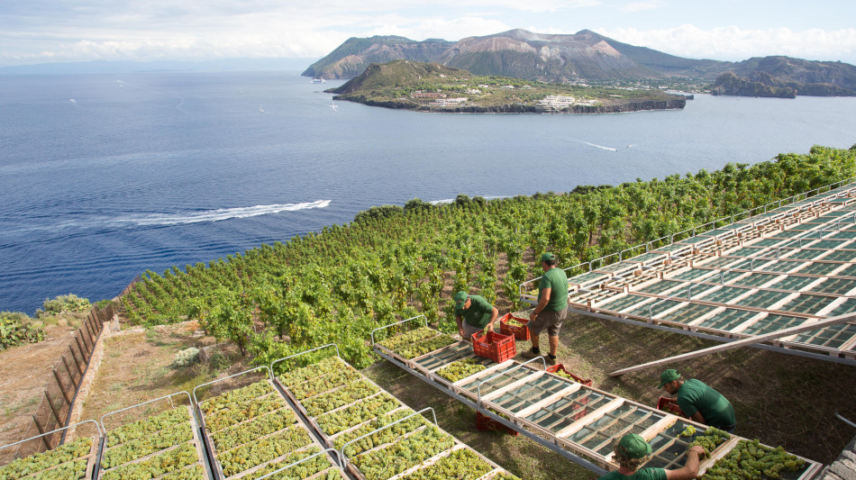 Sefcovic, 'purtroppo su dazi a vino non ancora accordo'