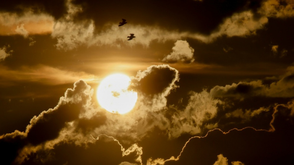 SPD-Vorschlag zu Hitzeschutz st&ouml;&szlig;t auf positives Echo - Kanzler z&ouml;gert noch