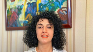 La premio Nobel de la Paz iran&iacute; Narges Mohammadi finaliza la huelga de hambre, informa su familia