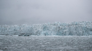 Sciogliendosi, l'iceberg A-23a genera una scia di microalghe