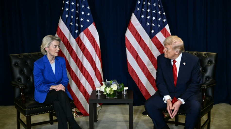Zolldeal mit Trump: EU-Parlament beschlie&szlig;t Umsetzung