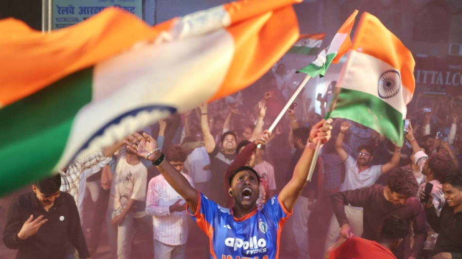 'T20 kings': nation celebrates Indian romp to World Cup glory