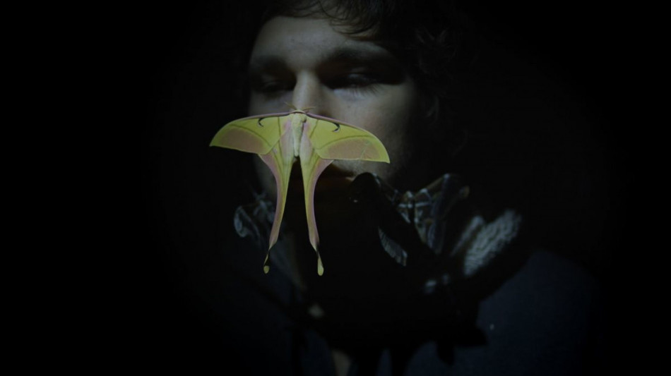 Palazzo Bentivoglio a Bologna riapre il giardino con Icarus