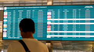 Flights resume gradually in Indonesia after volcanic eruption