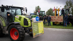 La UE detalla cómo protegerá a los agricultores europeos en el tratado con Mercosur