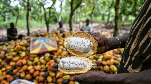 C&ocirc;te d'Ivoire: l'Etat va acheter les stocks de cacao pour r&eacute;soudre la crise