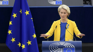 Gewinnabsch&ouml;pfung bei EU-Stromerzeugern soll 140 Milliarden Euro bringen