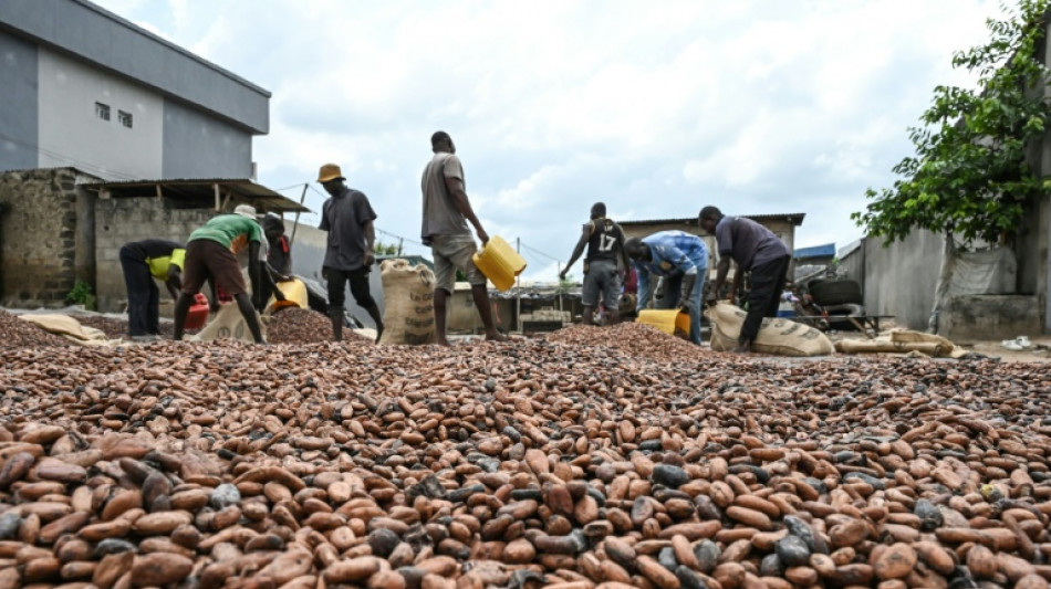 Le cacao d&eacute;passe 10.000 dollars la tonne, un nouveau record avant P&acirc;ques
