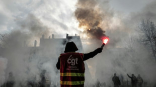 Retraites: dockers, raffineurs et &eacute;lectriciens en gr&egrave;ve jeudi