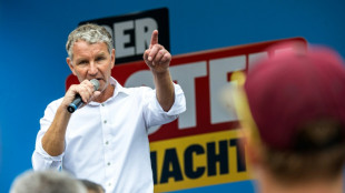 H&ouml;cke wiederholt scharf kritisierte &Auml;u&szlig;erungen zu mittelst&auml;ndischen Firmen