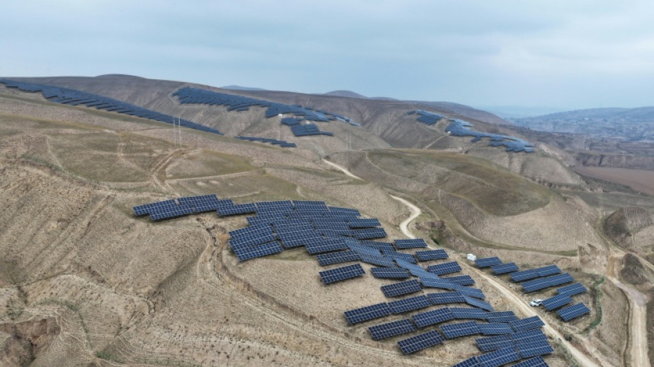 Internationale Energieagentur: Erneuerbare legen trotz Kehrtwende der USA deutlich zu