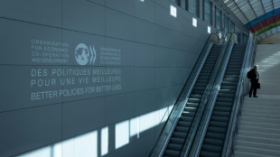 Visas dans la tech: "l'immigration est un atout crucial pour les Etats-Unis, affirme l'OCDE