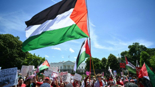Des milliers de manifestants pro-palestiniens &agrave; Washington contre Biden