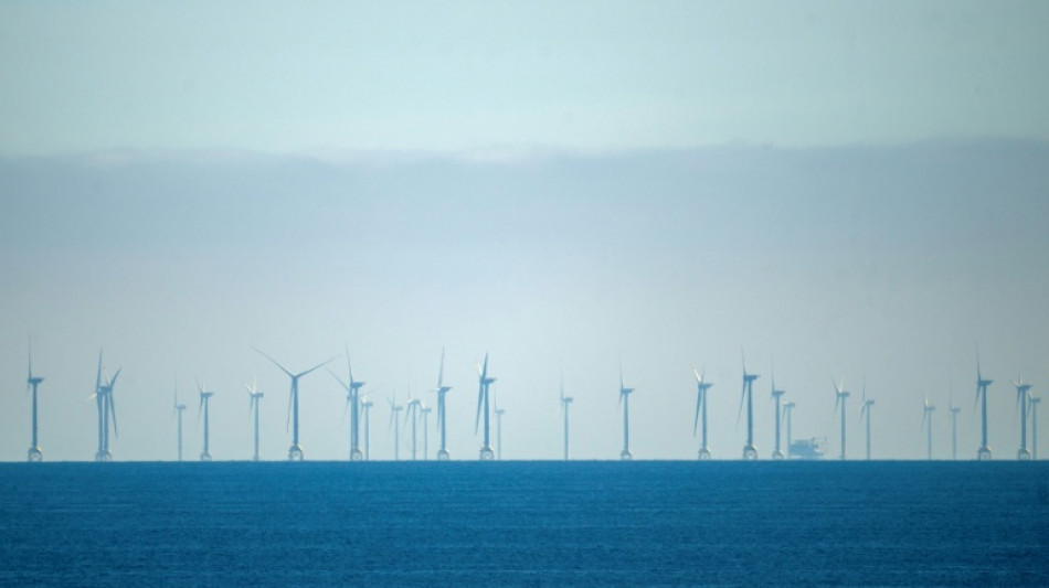 Windkraft auf See: Milliardenschwerer Gro&szlig;auftrag f&uuml;r Neptun-Werft in Rostock