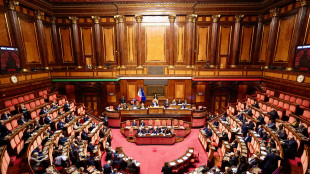 Ok del Senato al dl bollette, &egrave; legge