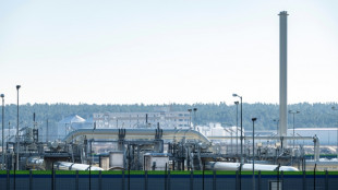 Trittin nennt deutsche Zahlungen f&uuml;r Energie an Russland erschreckend