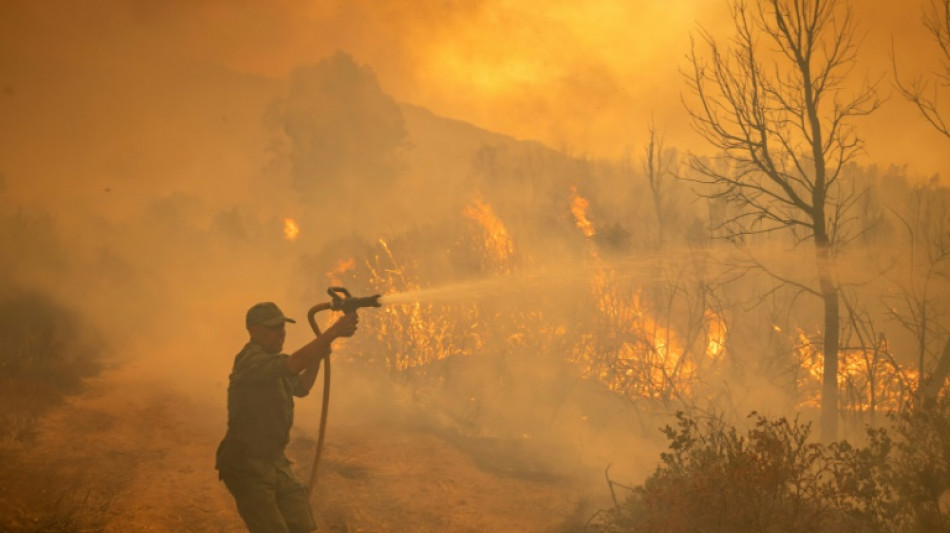 Maroc: trois pompiers meurent dans un feu de forêt présumé criminel