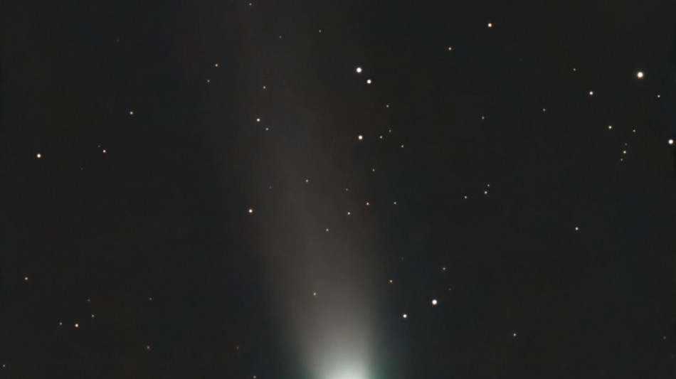 La cometa Lemmon ha salutato la Terra,ora il picco di luminosit&agrave;
