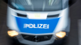 Farbbeutel und Rauchbomben gegen Rüstungsunternehmen in Ulm - mehrere Festnahmen