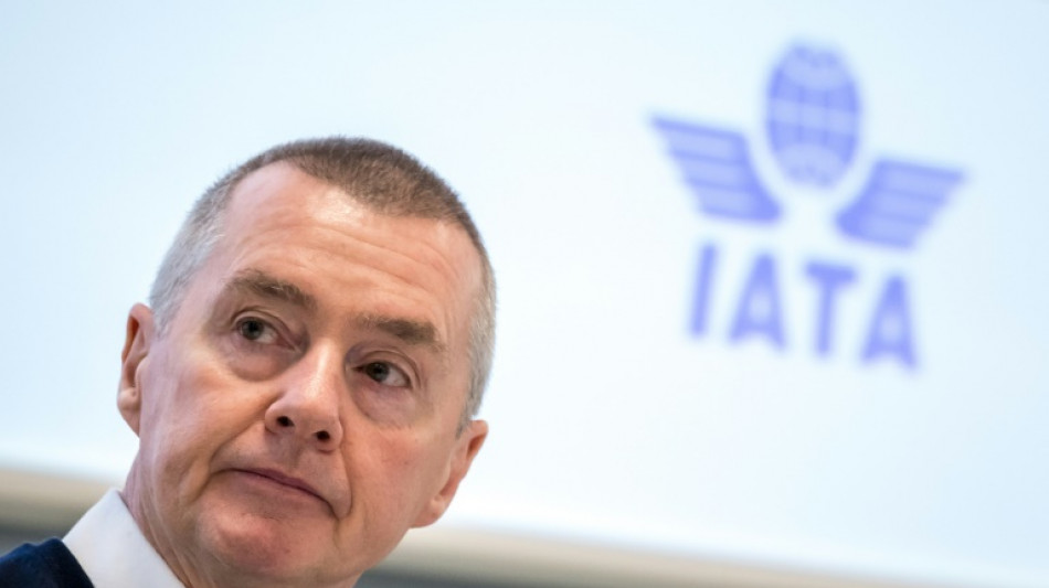 Les compagnies a&eacute;riennes attendent 4,7 milliards de passagers dans le monde en 2024, "record historique"
