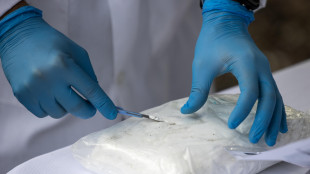 La cocaina riprogramma il cervello favorendo la dipendenza