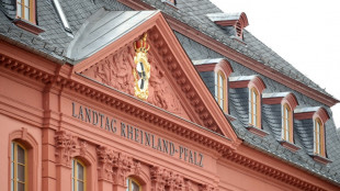 Rheinland-Pfalz stellt keine AfD-Mitglieder mehr in Staatsdienst ein