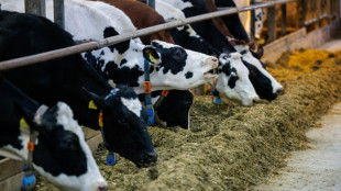 Landwirtschaft: Zahl der Arbeitskr&auml;fte seit 2020 um sieben Prozent gesunken