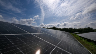 Betreiber: Gr&ouml;&szlig;ter Solarpark Europas im Leipziger Umland eingeweiht
