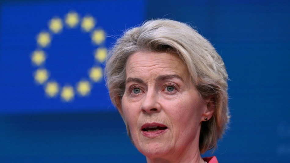 Vor Wahl im EU-Parlament: Von der Leyen spricht sich f&uuml;r E-Fuels aus