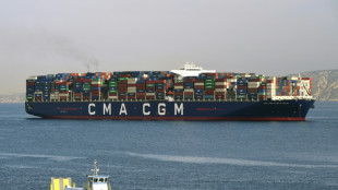 Containerschiff eines franz&ouml;sischen Eigners durchquert Stra&szlig;e von Hormus