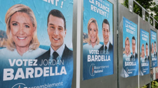 Le RN en t&ecirc;te des intentions de vote pour les l&eacute;gislatives, selon deux sondages