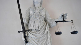 F&eacute;minicide en Alsace: 29 ans de r&eacute;clusion pour un crime "sauvage"
