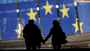 Les Europ&eacute;ens aux urnes, l'extr&ecirc;me droite au deuxi&egrave;me rang en Allemagne