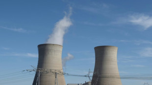 Macron r&eacute;affirme le cap d'une relance du nucl&eacute;aire &agrave; marche forc&eacute;e