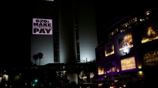 S.Africa G20 declaration highlights: minerals, debt, climate