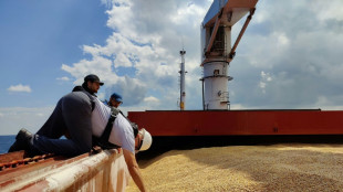 Ukraine wirft Russland Verz&ouml;gerung der Weiterfahrt von 165 Frachtschiffen vor
