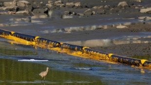 Les gestionnaires d'un oléoduc de Californie plaident coupable après une marée noire