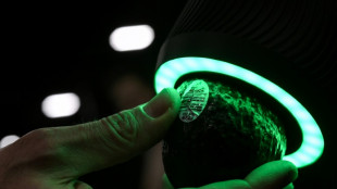 Scanner les avocats ou le cerveau, les derni&egrave;res innovations au salon de la tech