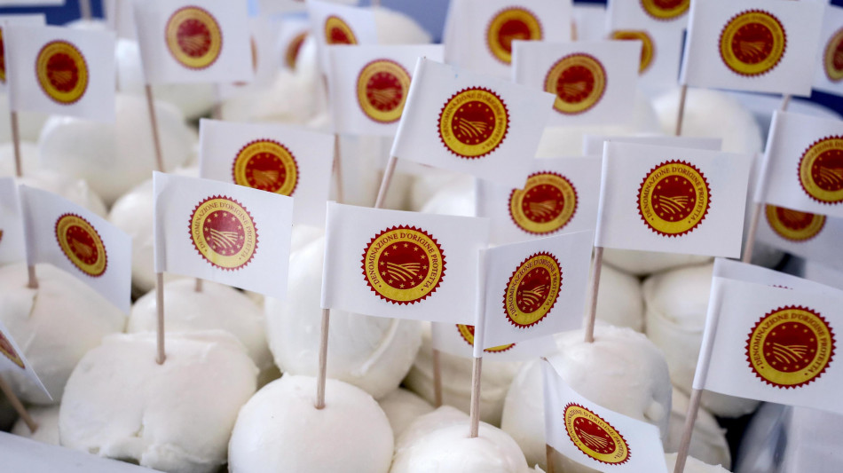Bufala Dop: 2025 stabile per l'oro bianco, spinta export