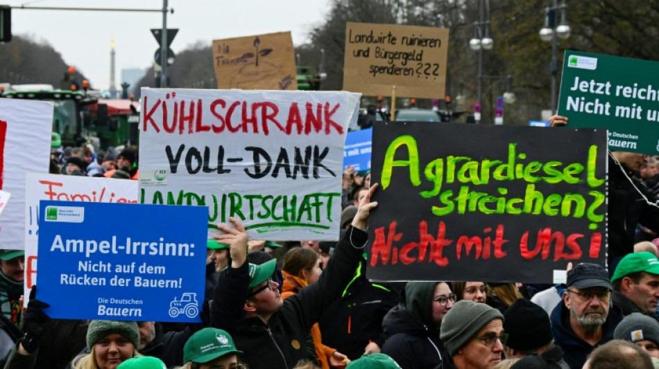Bauern protestieren gegen Sparpl&auml;ne der "Ampel" - &Ouml;zdemir: "Ich werde k&auml;mpfen"